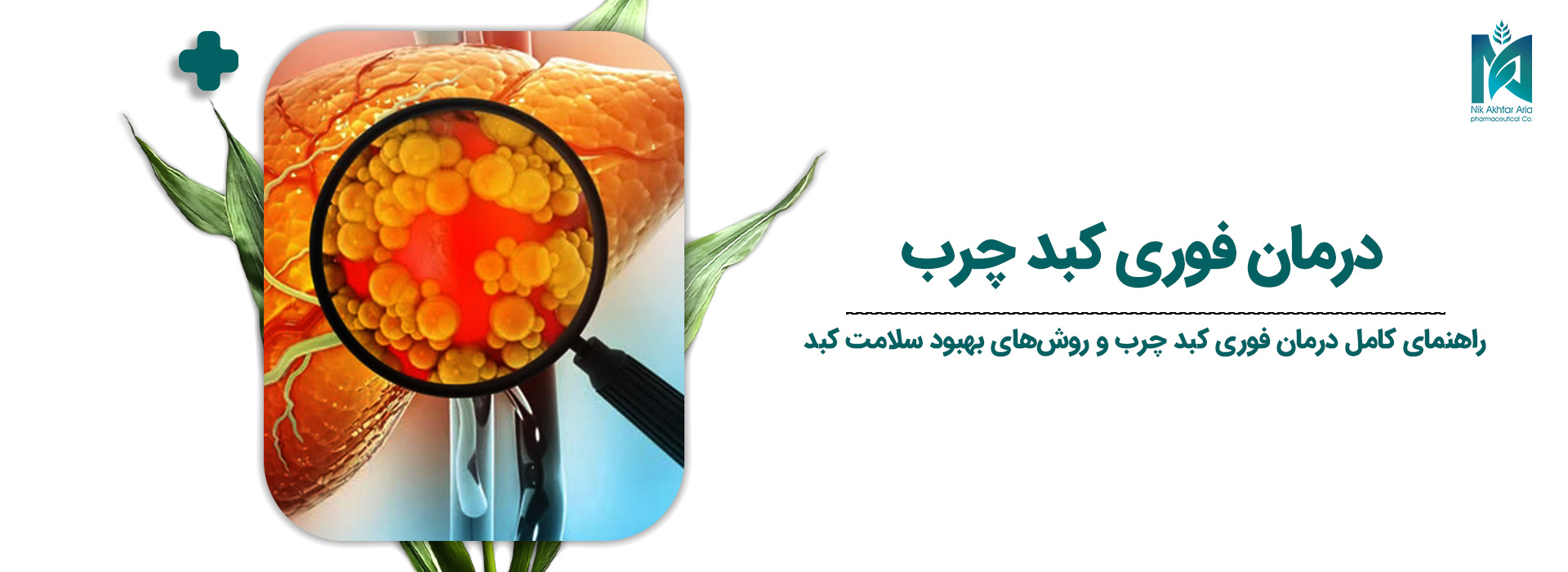 درمان-فوری-کبد-چرب