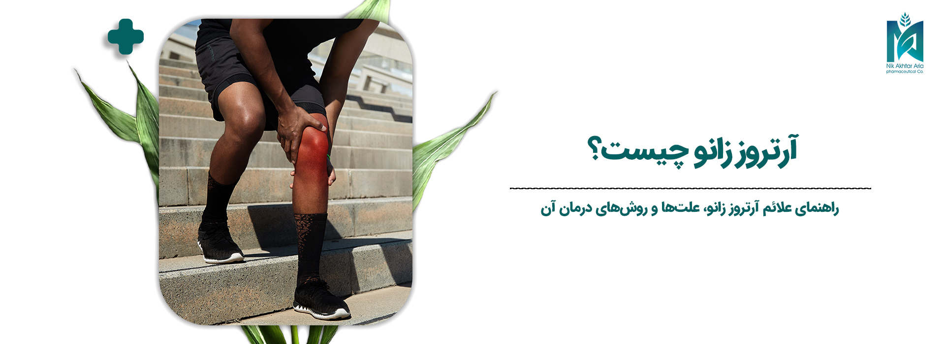 زانو چیست؟